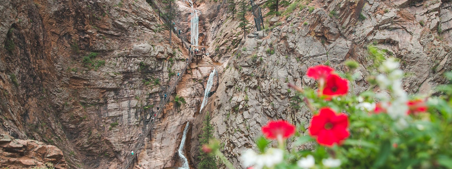 Tales of the Flowers: The Flowers Explore - Gold Mining in Colorado