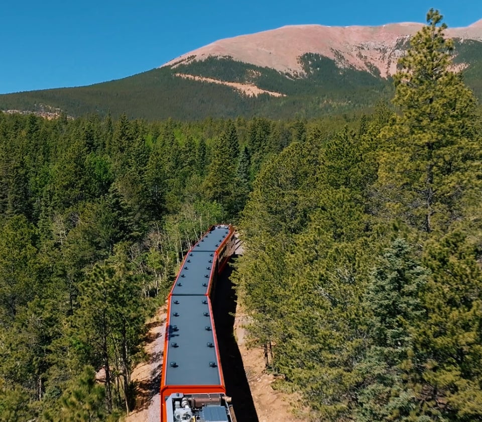 A Train Traveling Through A Forest